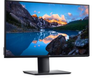DELL U2520D Monitor