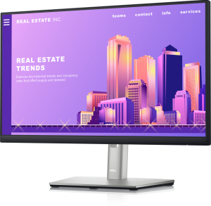 DELL Monitor P2222H