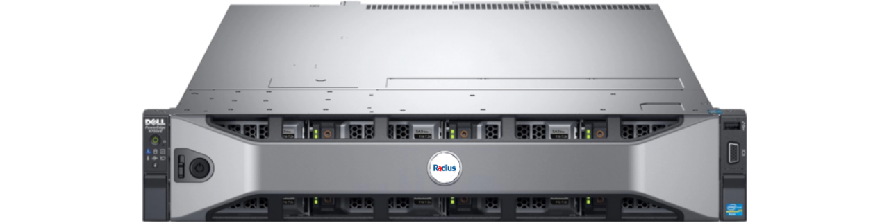 Radius Corpus Backup Server 2U | 12'li Şasi 1 x E5-2650 v4 - 2 x 32 GB DDR4-2400 Mhz RAM - 96 TB Net (10X12TB) Nearline-SAS 3.5\'\' HDD